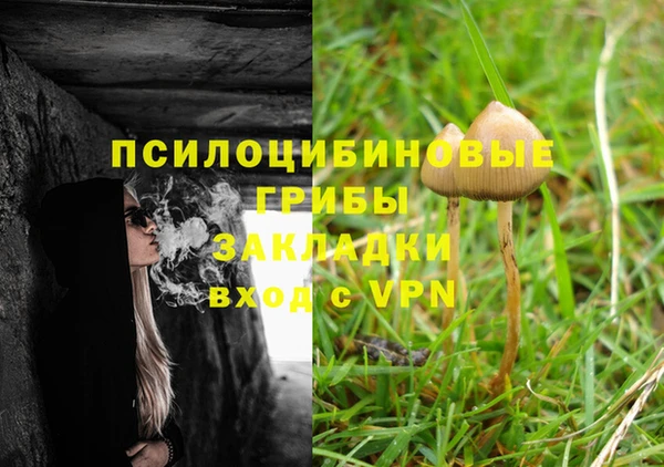эйфоретик Белоозёрский