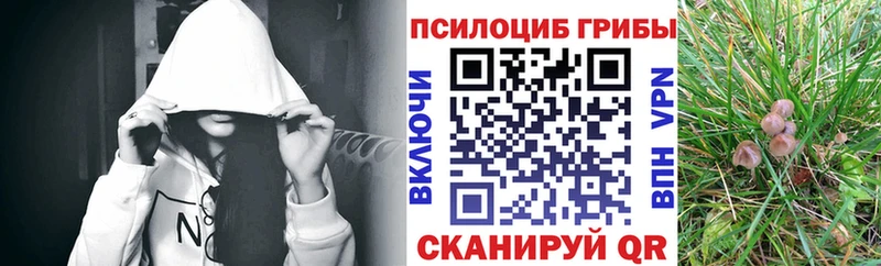Галлюциногенные грибы GOLDEN TEACHER  блэк спрут как зайти  Горно-Алтайск 